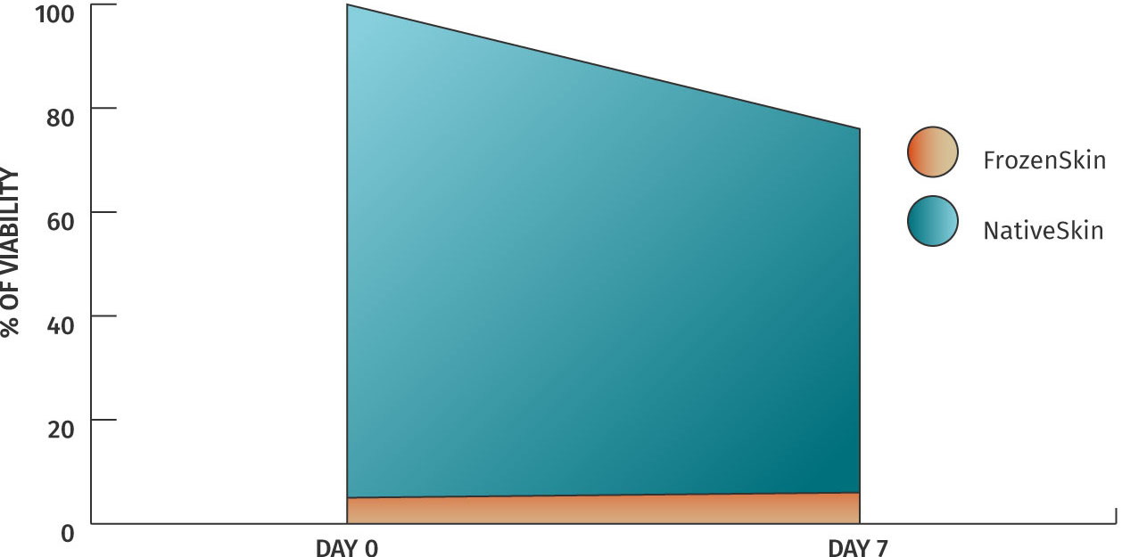 Viability graph NativeSkin human skin models