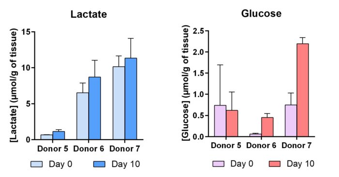 lactate and flucose skin metabolism Promega, proving that NativeSkin maintains skin integrity