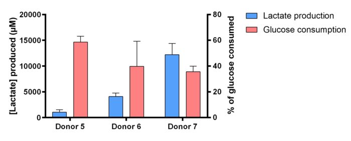 lactate glucose metabolism Promega, proving that NativeSkin® maintains skin integrity