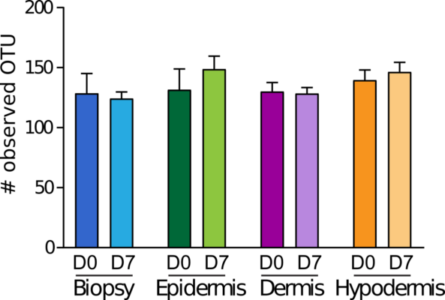 microbial population human skin layers