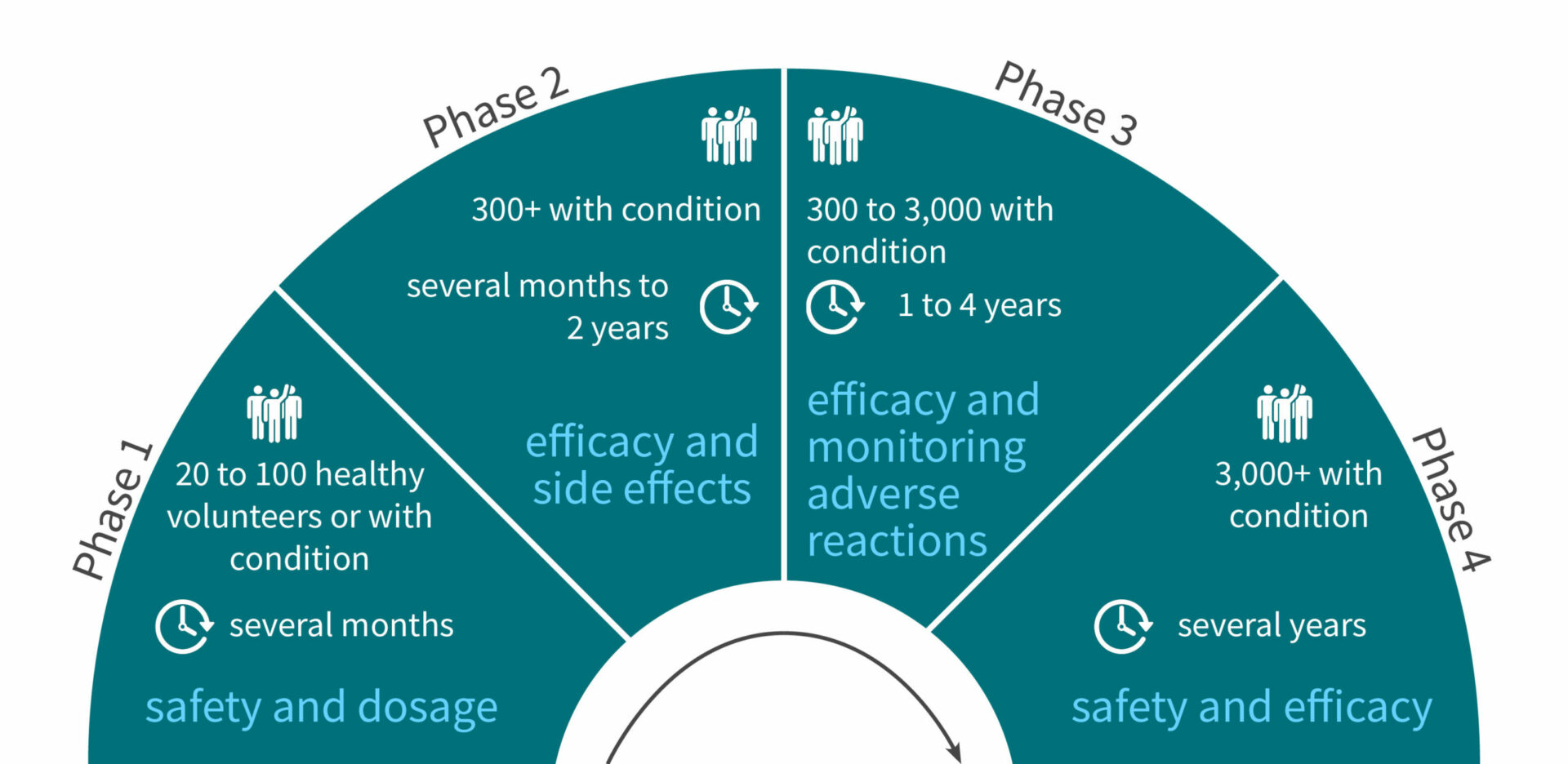 Scheme showing the 4 phases of clinical trials that are required for FDA approval