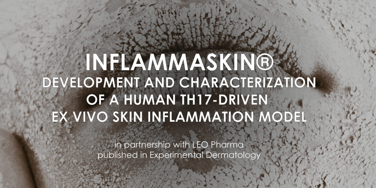 InflammaSkin: development and characterization of a human th17-driven ex vivo skin inflammation model