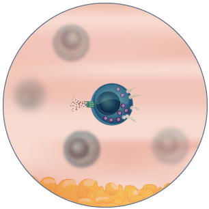 high throughput mast cells assays