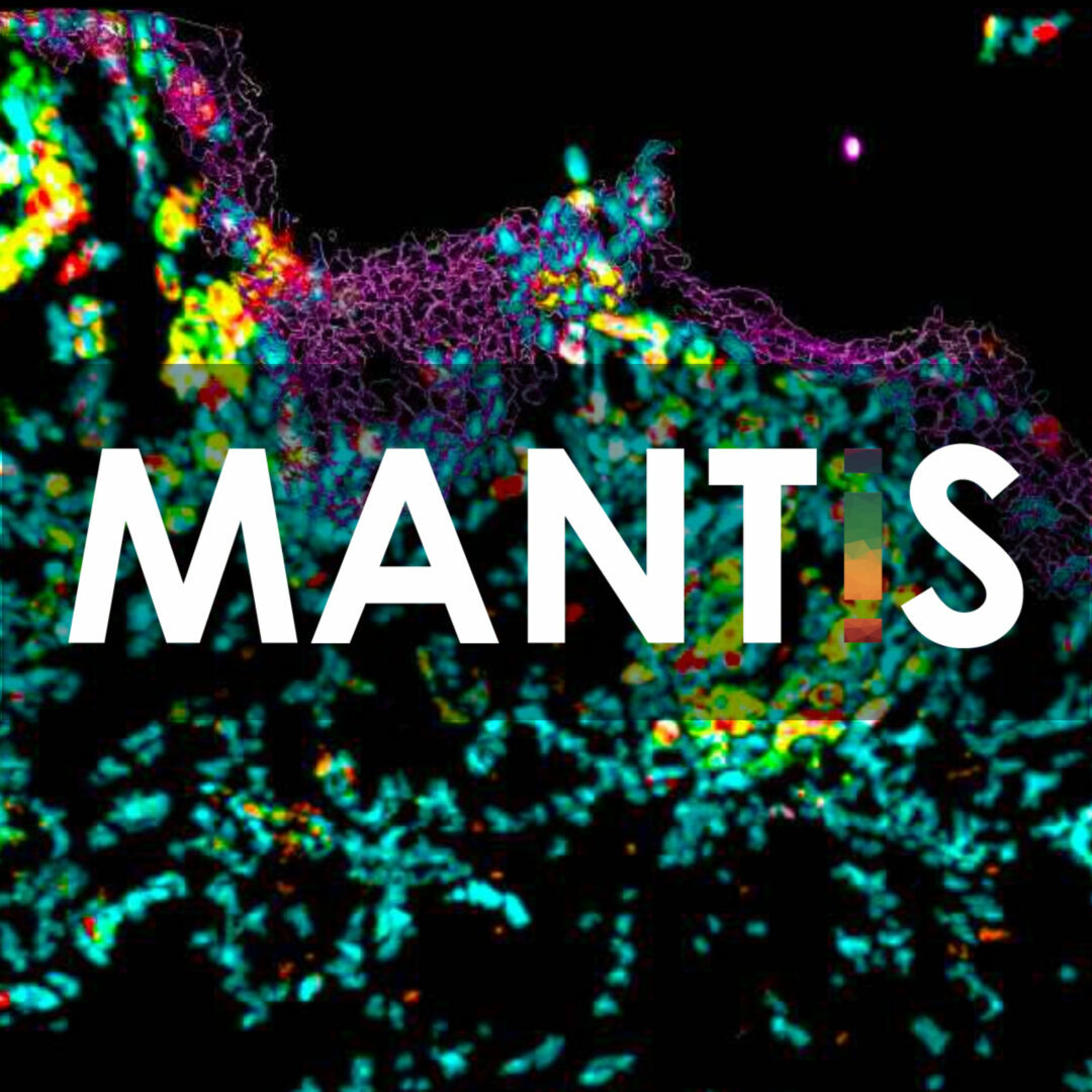 Mantis spatial biology platform