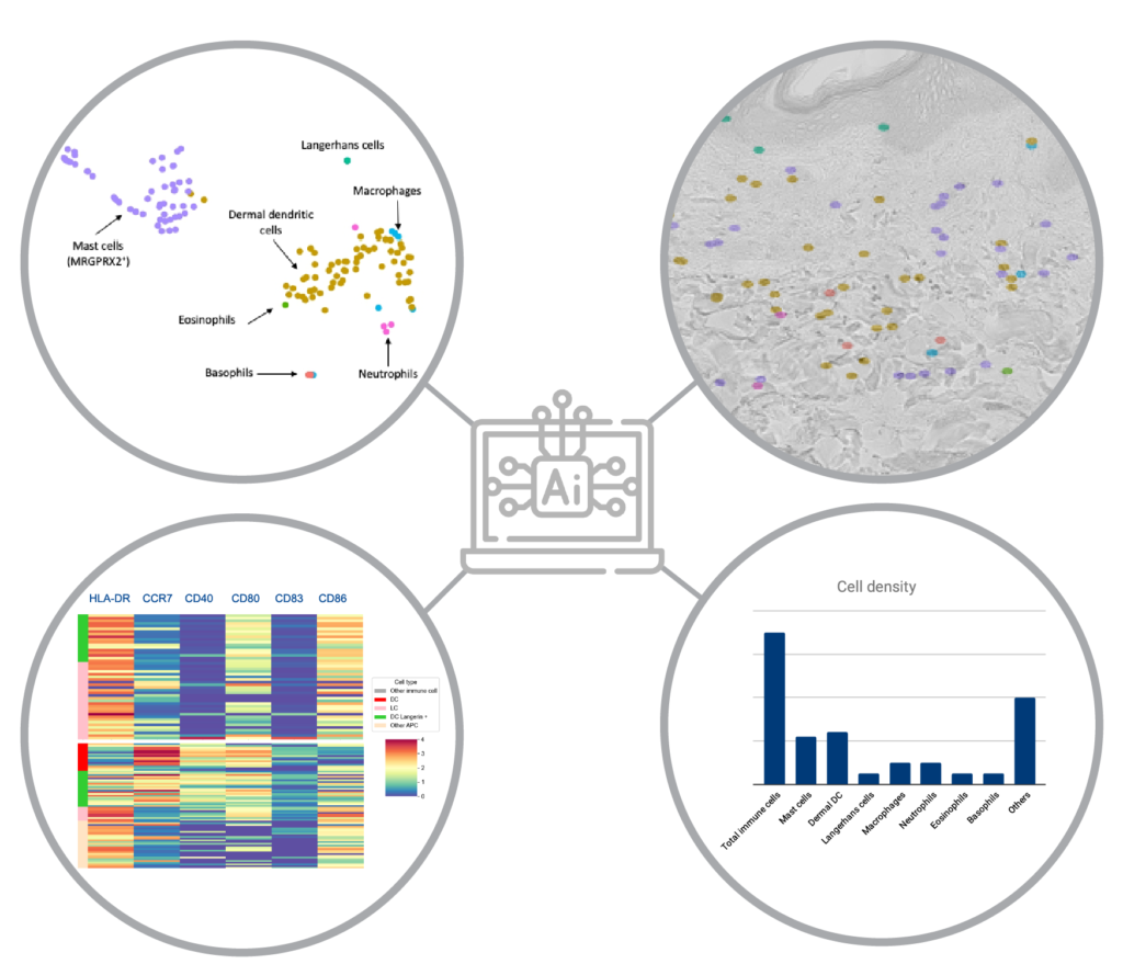 Mantis spatial biology platform data overview