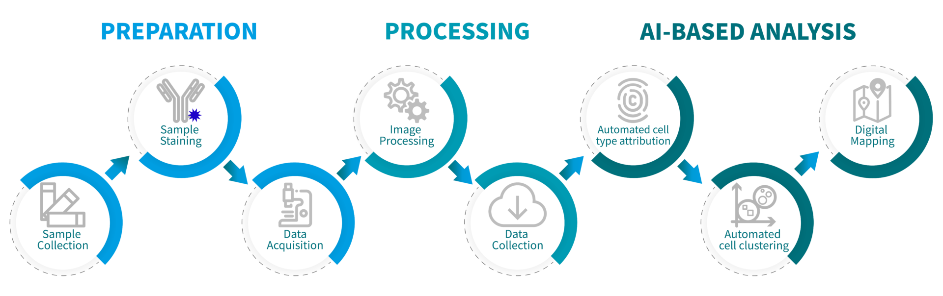 Mantis Spatial Biology Platform workflow