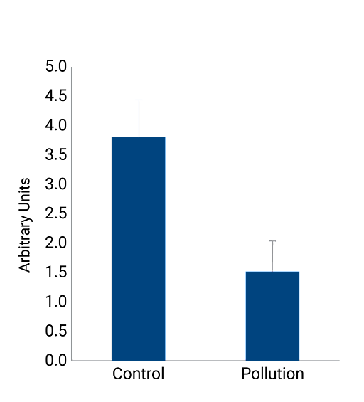 Cell viability of NativeSkin after pollution