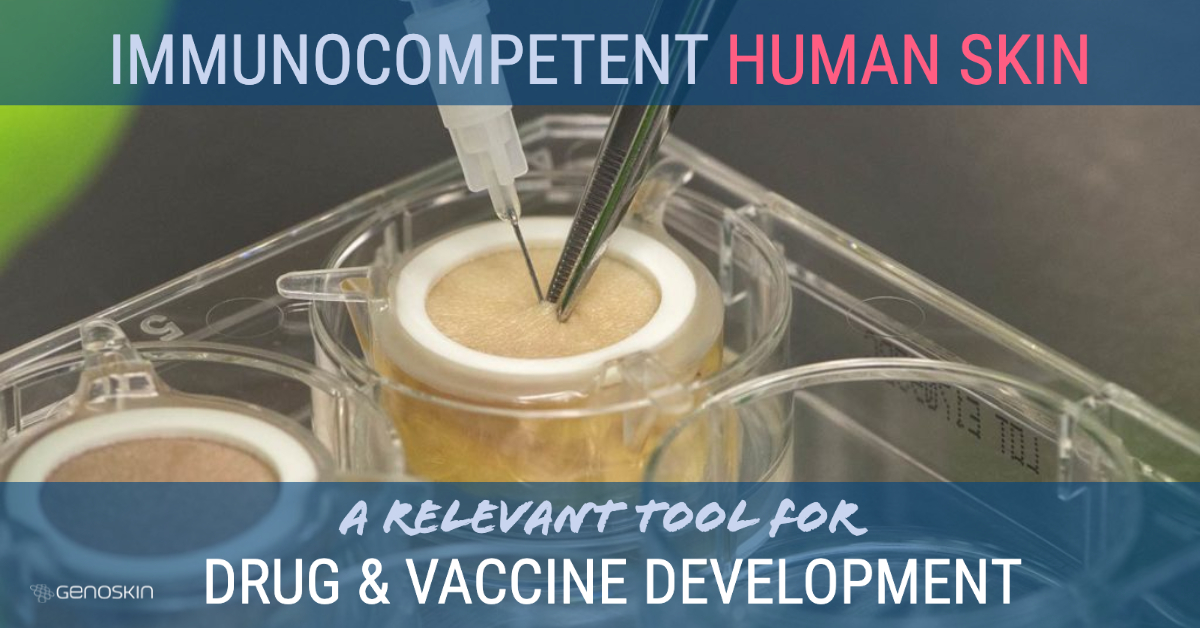 Immunocompetent human skin for drug and vaccine development