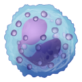 Eosinophils