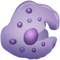 Macrophages