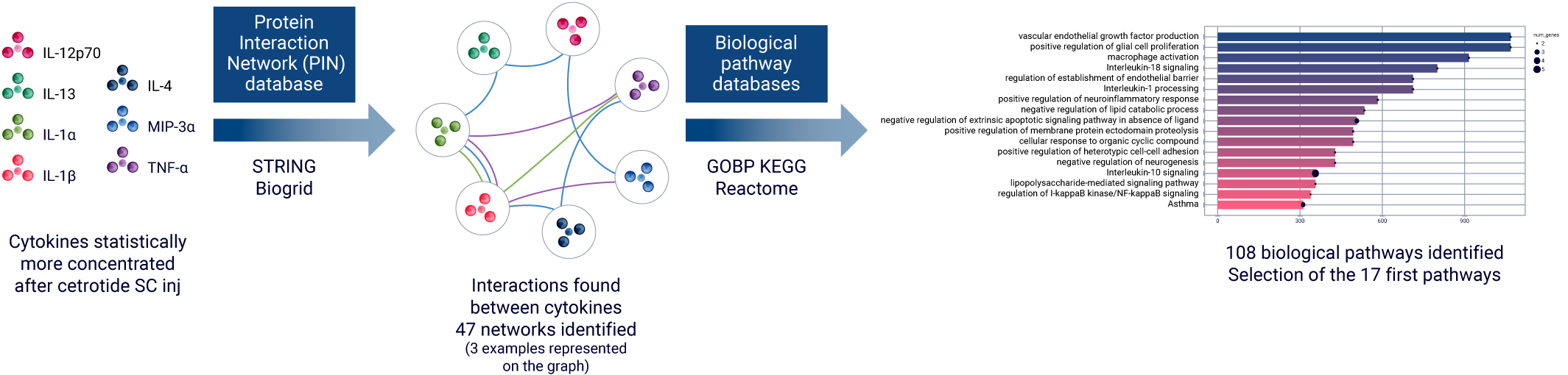 AUDACY a bioinformatics-based application to interpret large secretome dataset and infer on biological pathways triggered by a therapeutic compound injected in human skin