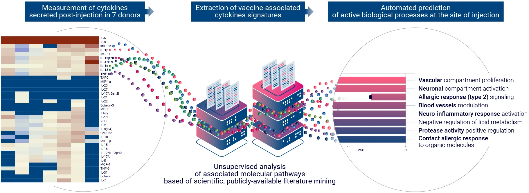 Evaluation of the therapeutic candidate immunogenicity at the tissue level using multiplex cytokine analysis and bioinformatics.