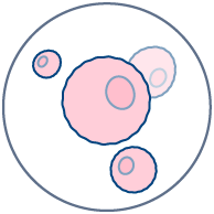 Immunotoxicity