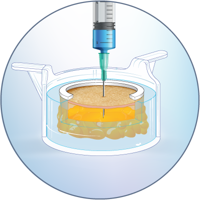 Intra dermal or Subcutaneous injection in an ex vivo human skin model with a 7 days experimental window