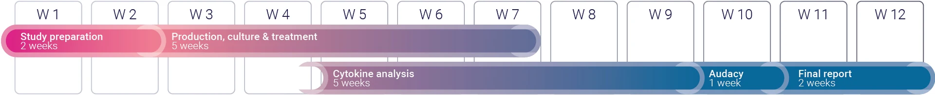 Assess local immmunotoxicity and injection site reactions on a large number of donor and de-risk your compound in 12 weeks