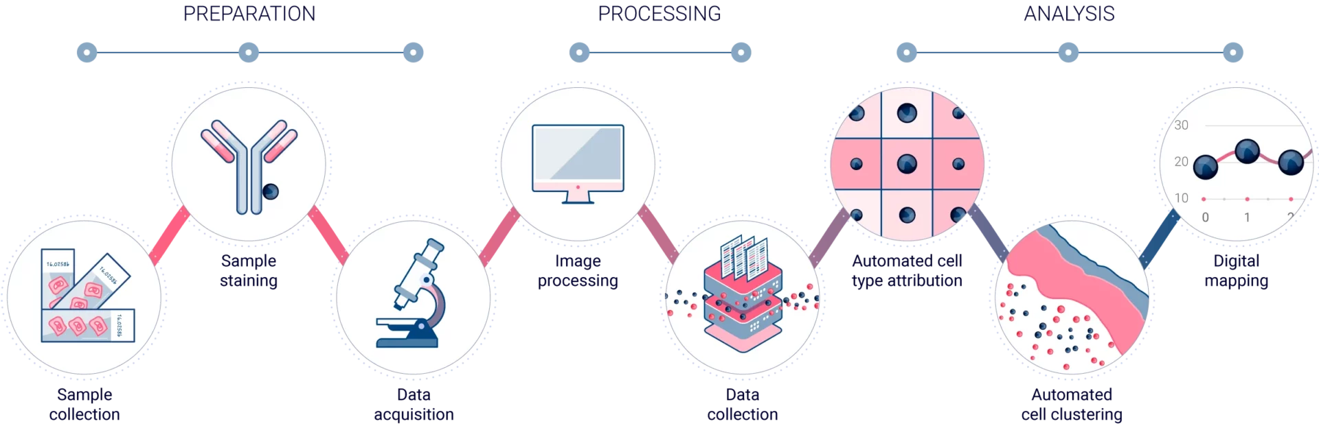 Mantis Spatial Biology Platform workflow