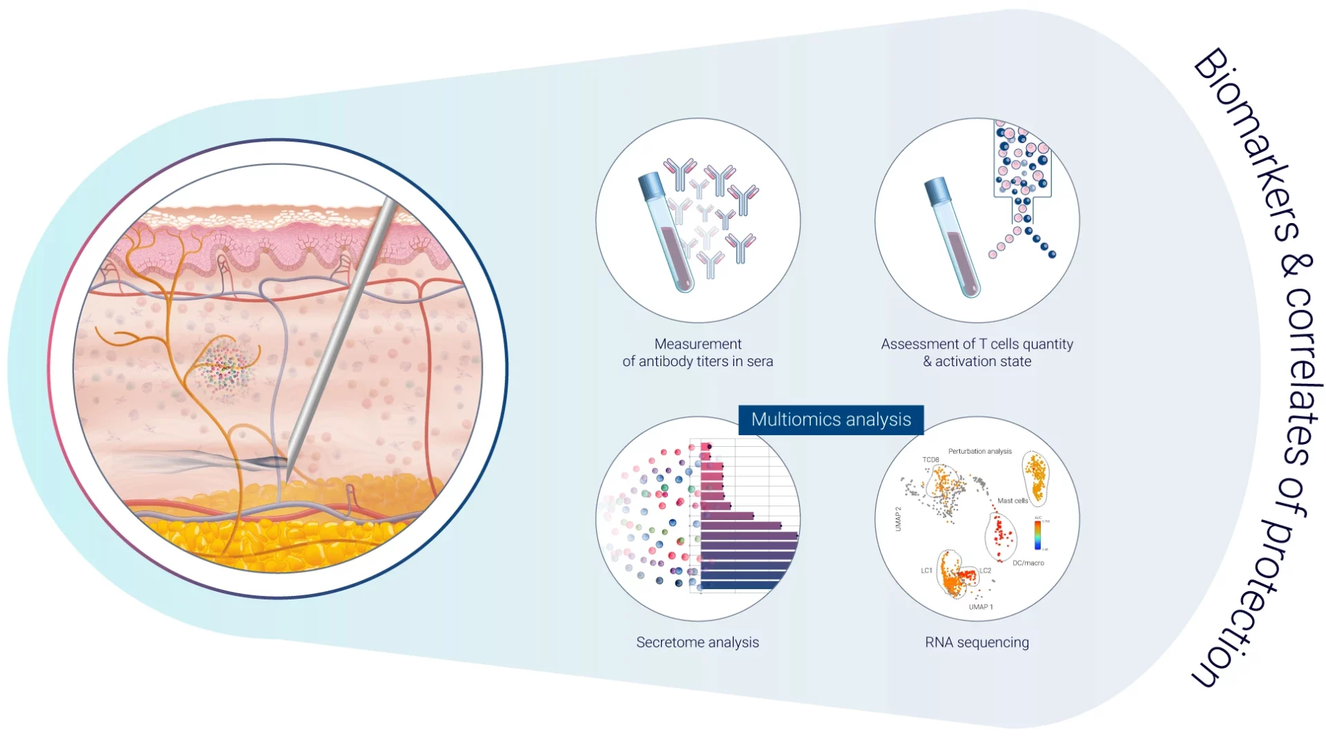 Biomarkers and correlates of protection to assess wanted immunogenicity in vaccines