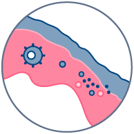 Effects on the skin microbiome & microbial colonization