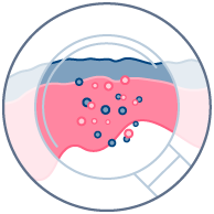 Compound toxicity & effects on barrier function