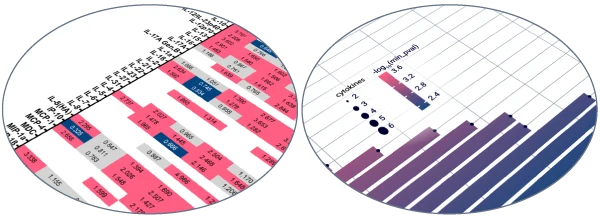 Analysis of cytokines and chemokines released by in situ human skin resident immunes cells.