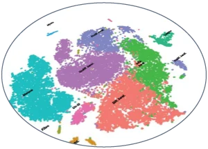 Bulk RNA sequencing analysis of ex vivo human skin before and after treatment