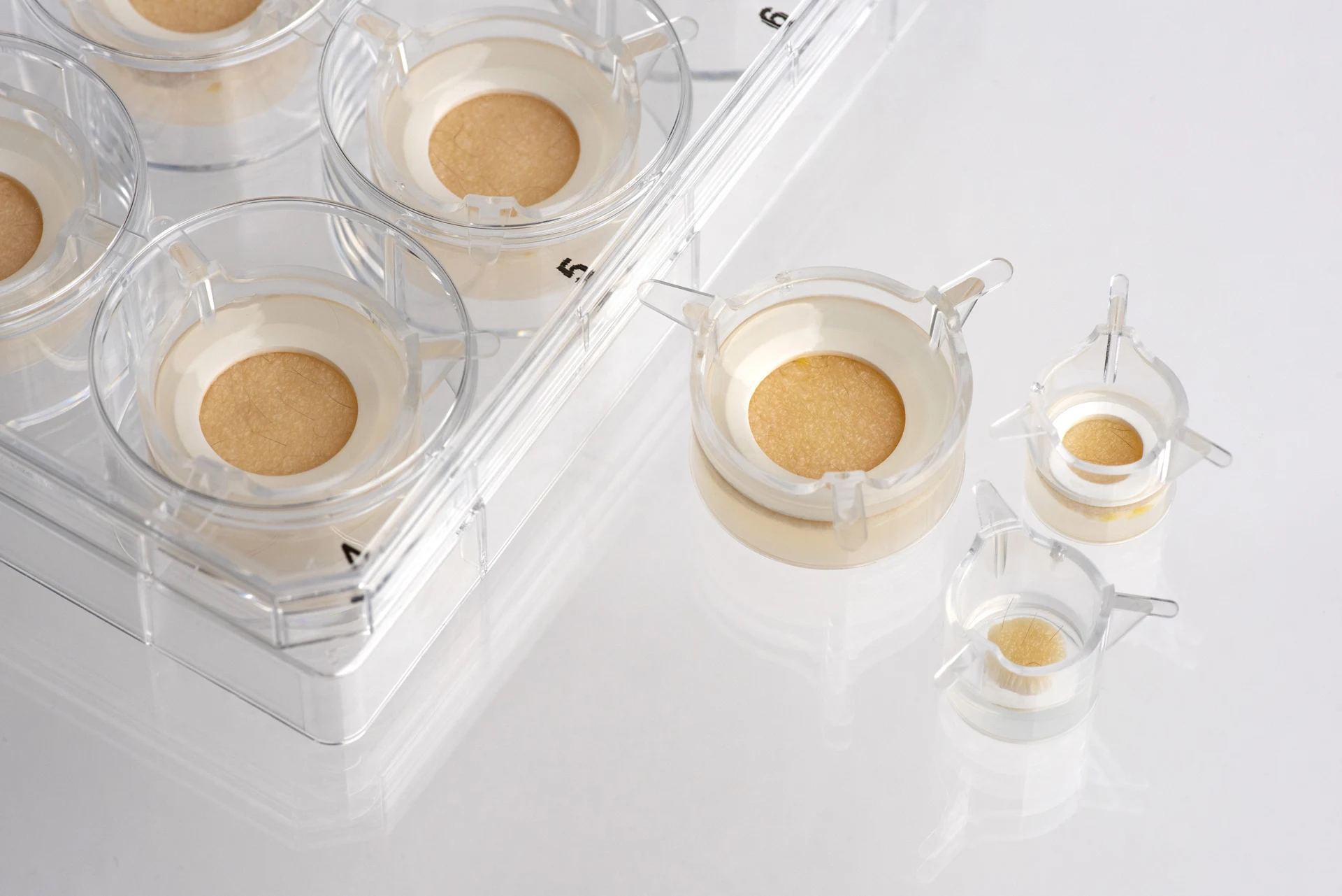 Nativeskin access NativeSkin access: Cutting-edge research made accessible Access an animal-free highly predictive model