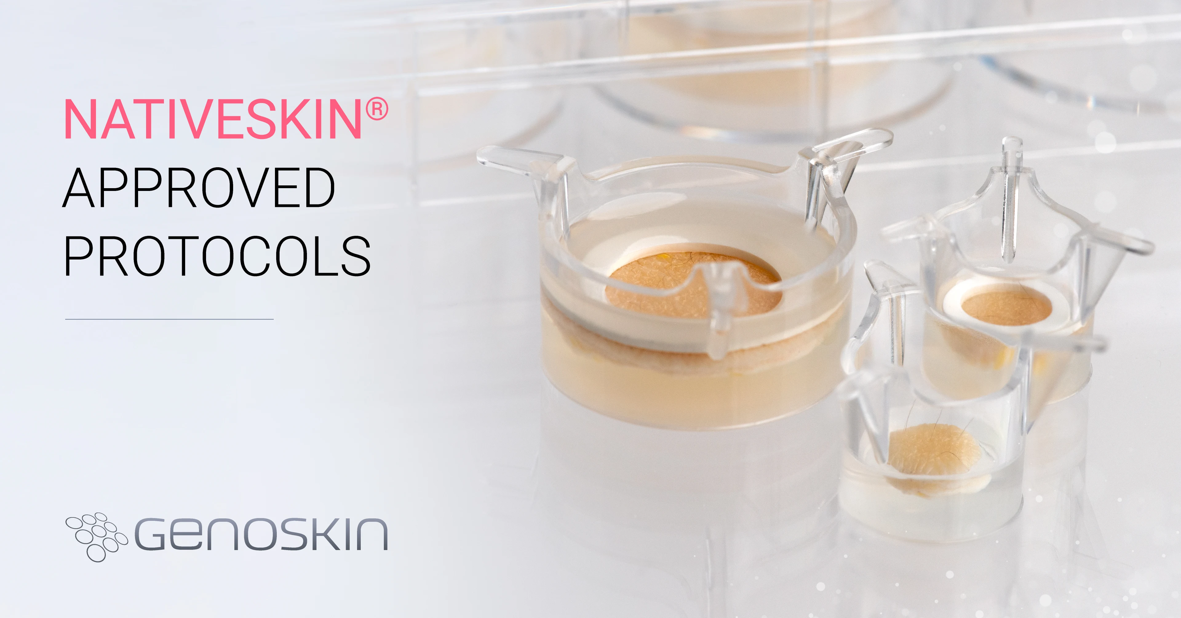 NativeSkin approved protocols