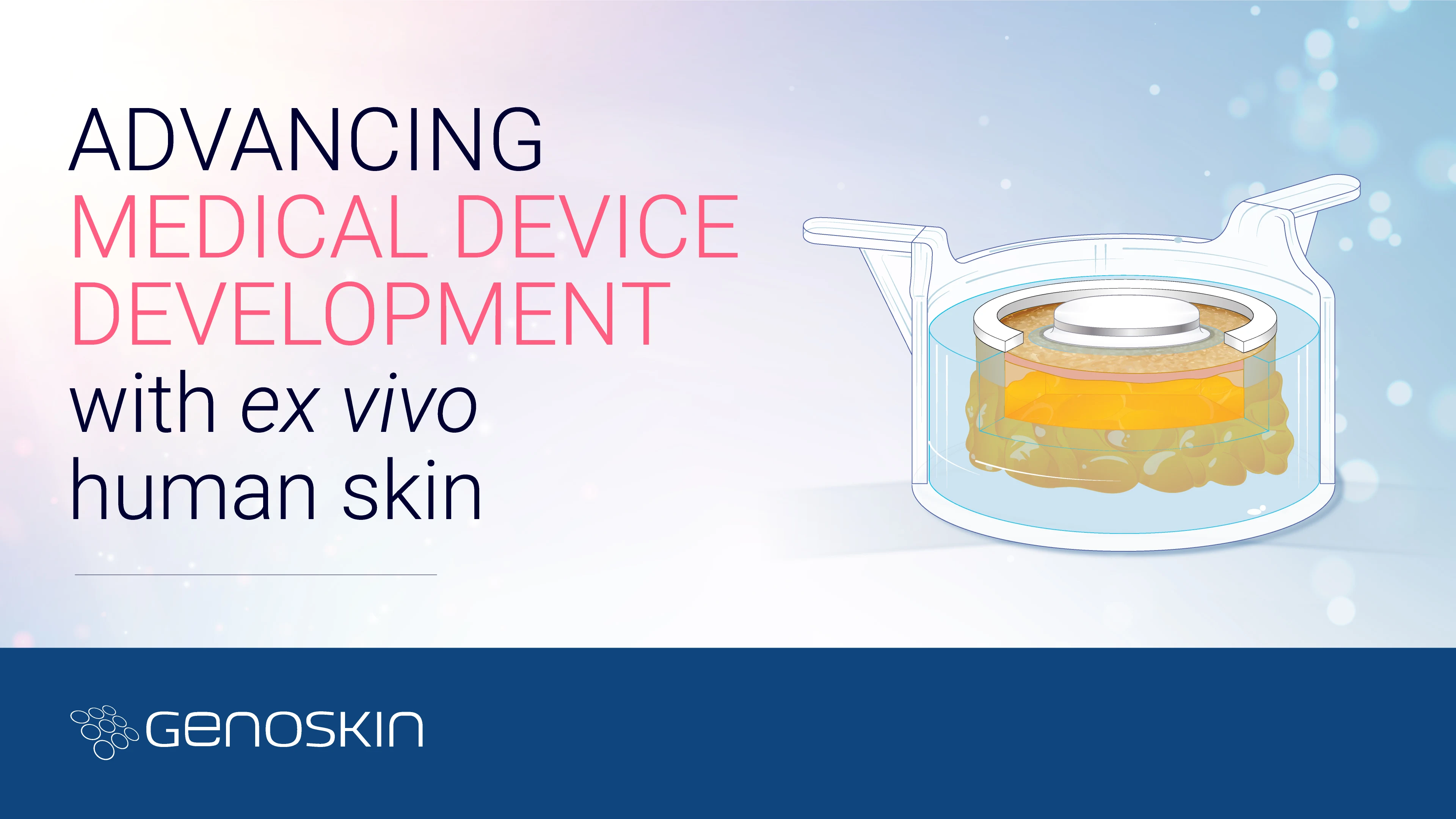 Advancing medical device development with ex vivo human skin