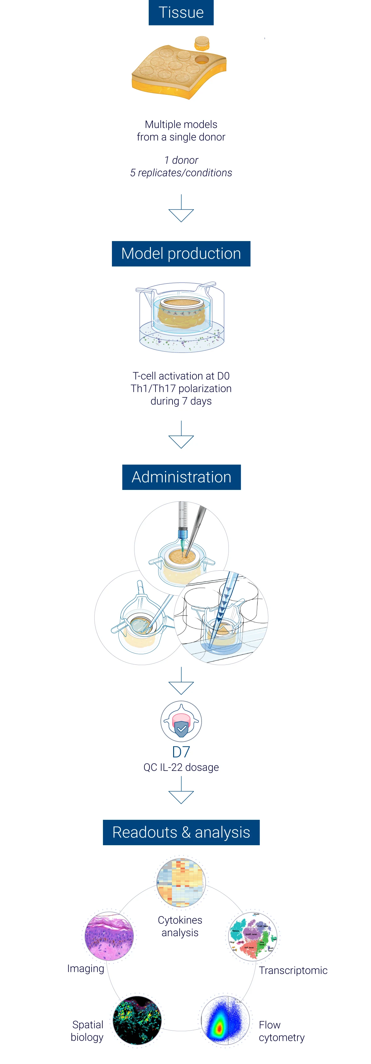 Robust quality control at every stage of psoriasis study execution every level