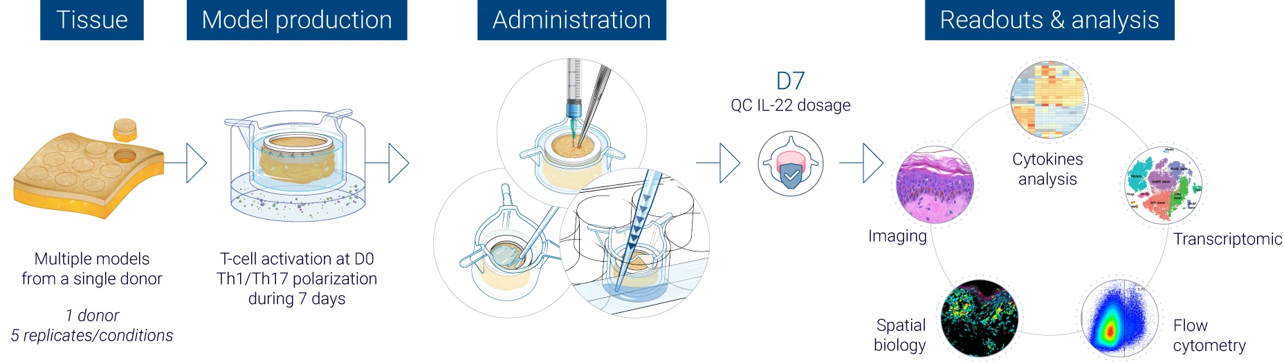 Robust quality control at every stage of psoriasis study execution every level