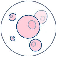 T-cell driven
