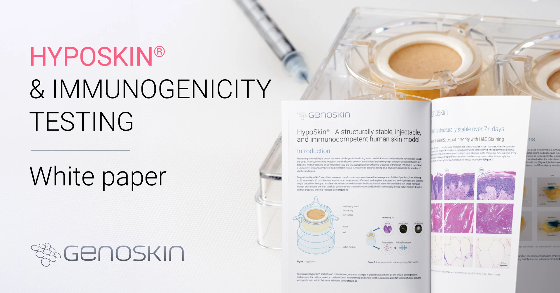 Detecting early immunogenicity with HypoSkin