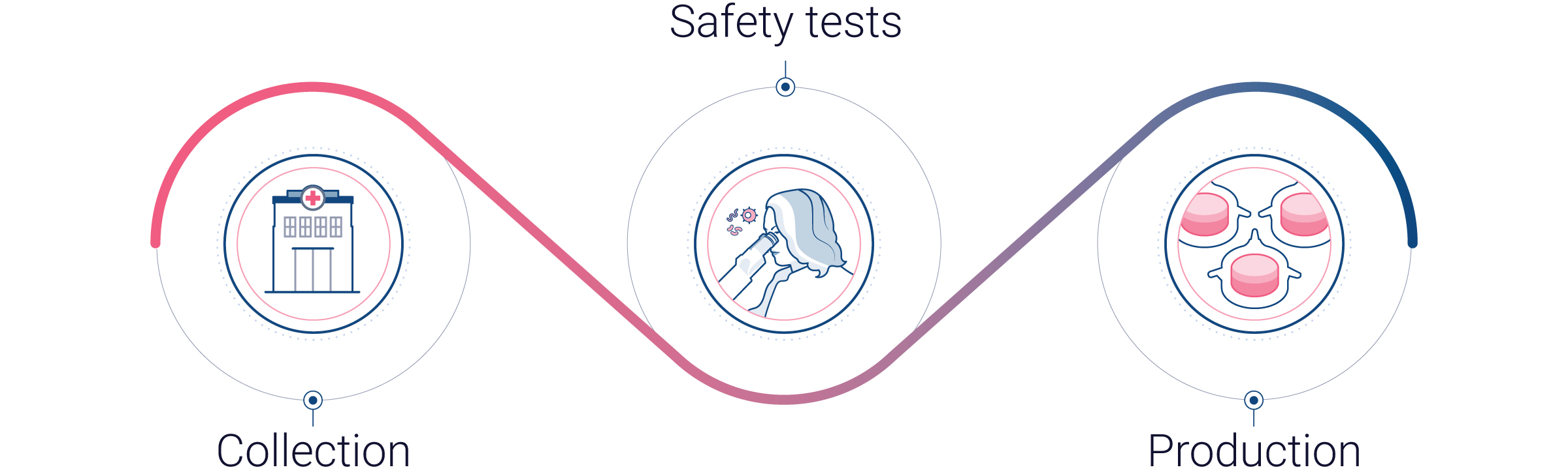 Genoskin ethical sourcing from donor to skin model Genoskin ethical sourcing from donor to skin model