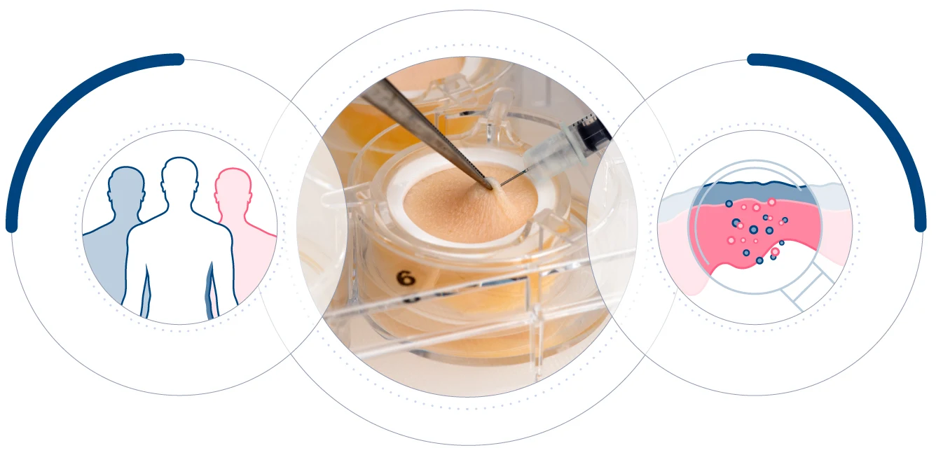 Toxicity pilot study