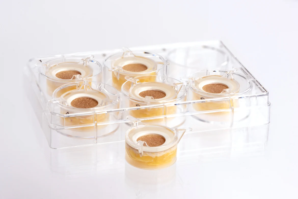 Local toxicity assessment in human HypoSkin models