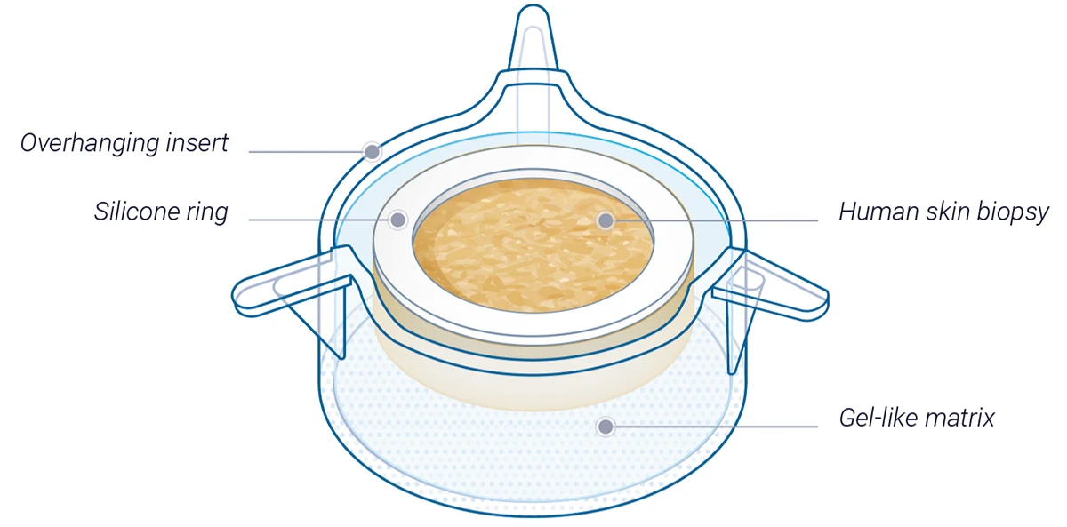 NativeSkin The NativeSkin model preserves the native human microbiome