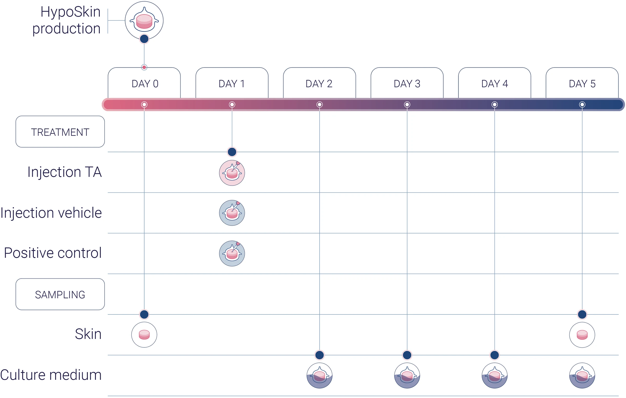 Detect injection site reaction and local tolerance with a pilot study using New Approach Methodology