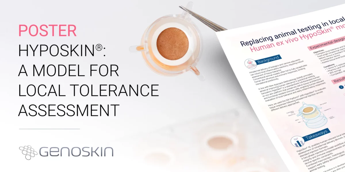 HypoSkin®️, a model for local tolerance assessment