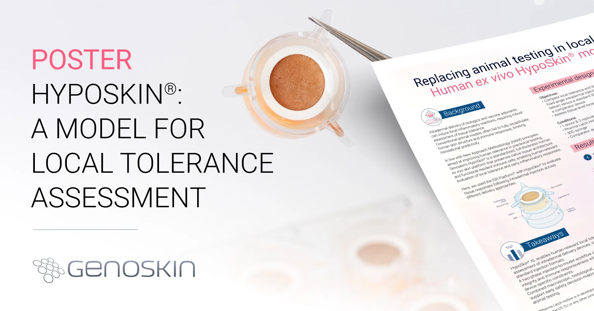 HypoSkin®️, a model for local tolerance assessment