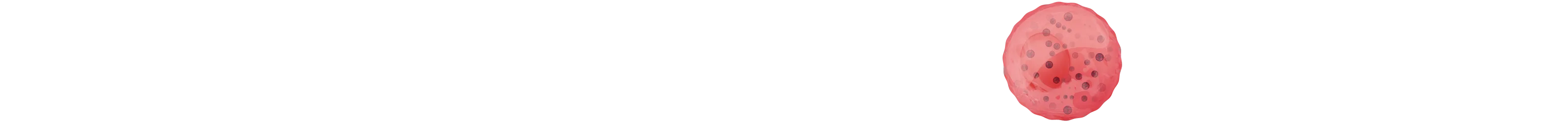 Mast-cell-header