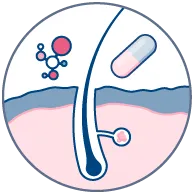 Drug efficacy & toxicity assessment